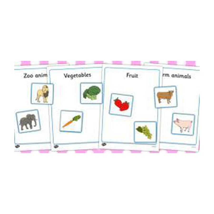Classification and Sorting Picture Cards educational product