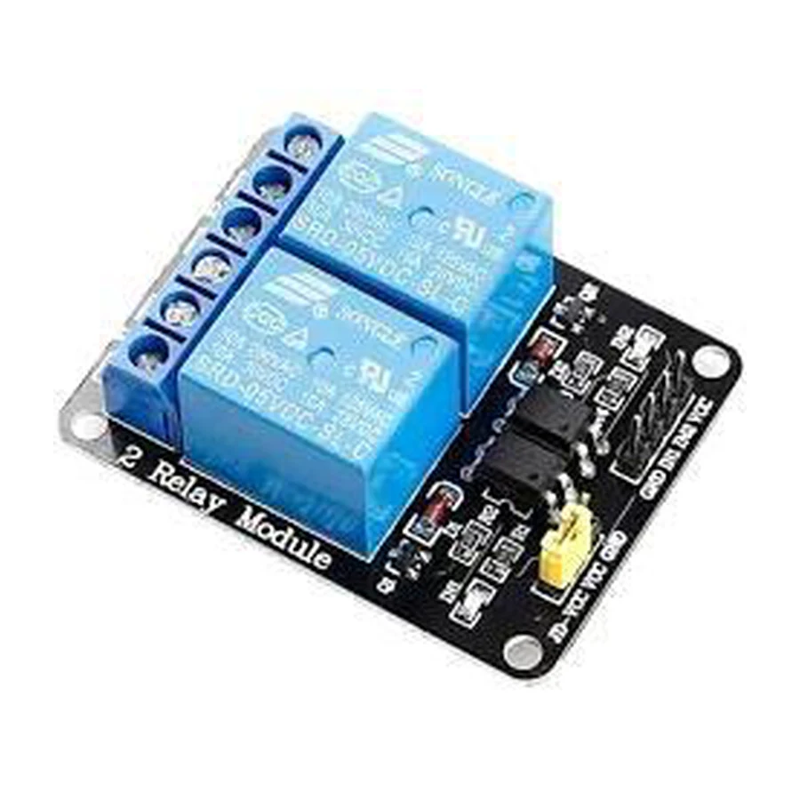 Dual-Channel Relay Module educational product