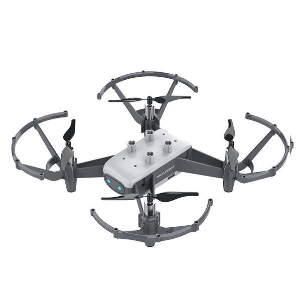 Eagle 1003 educational product